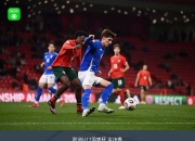 米兰APP下载-意大利点球大战击败瑞士晋级四强